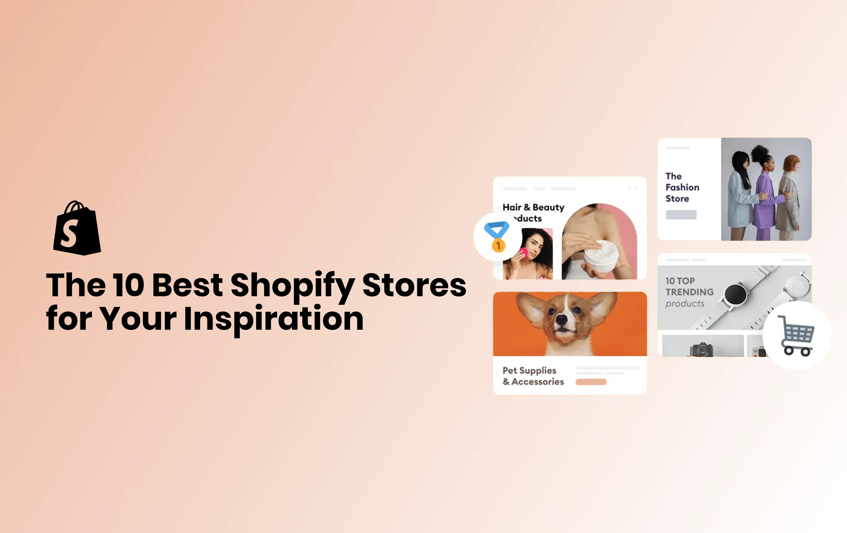 The 10 Best Shopify Stores for Your Inspiration